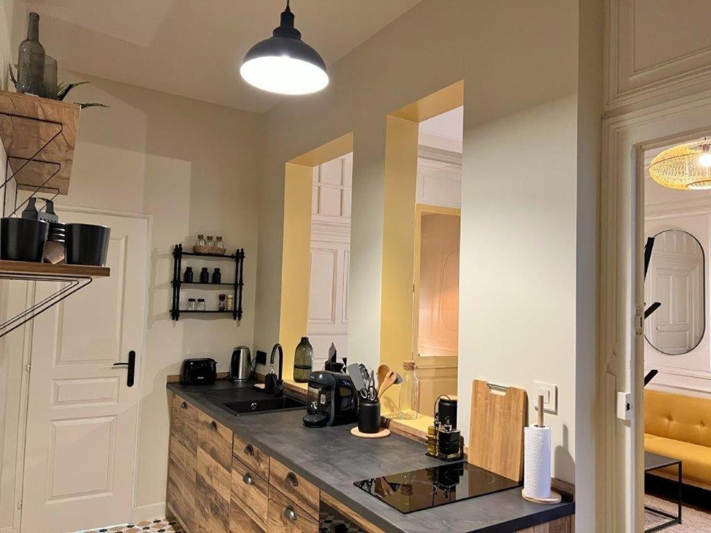 Apartamento Le Boudoir De Clem Chalon-sur-Saône Exterior foto